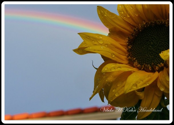 Someday over the rainbow