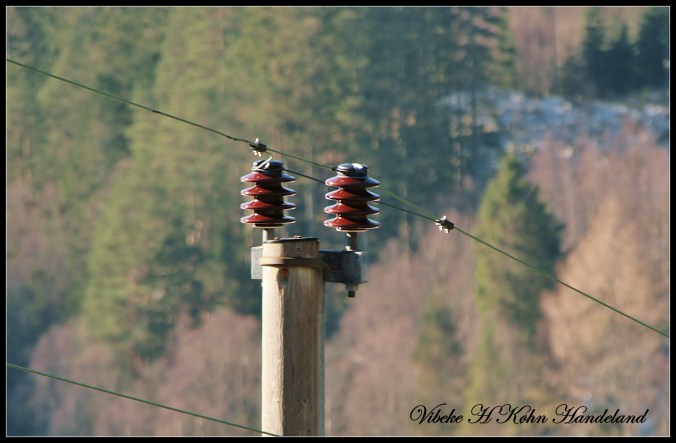 Still feeling electrical