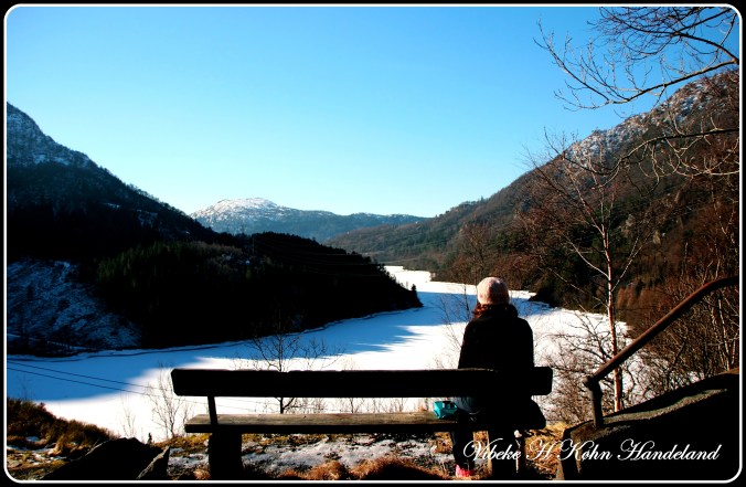 Place for reflection