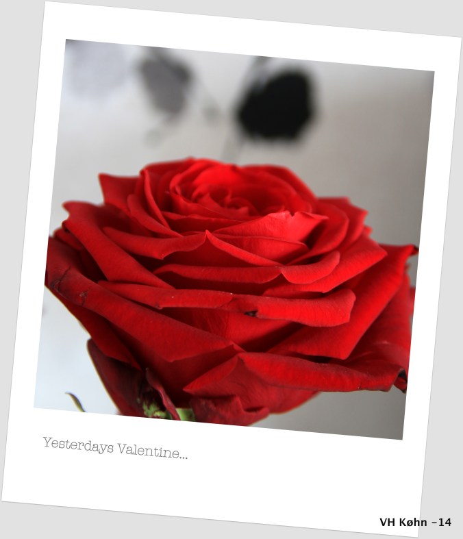 Yesterdays Valentine