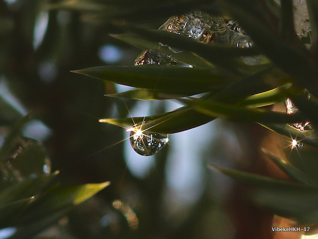 2017-01-14-at-15-36-08